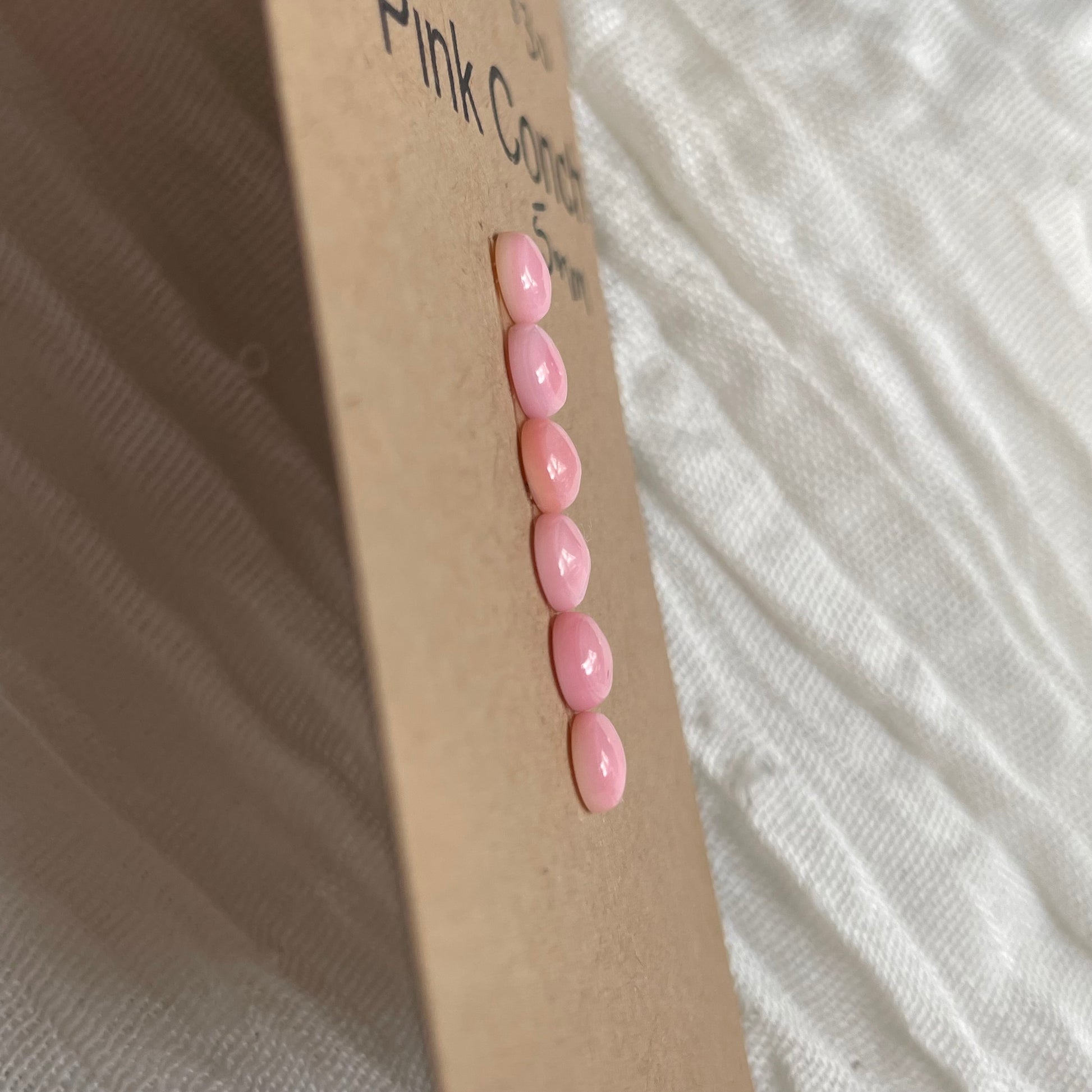 Pink Conch Cabochon - PC30 01DAF7AA-85D2-4E14-83B8-7B84C8102E0B Brandedandwild.com