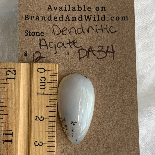 Dendritic Agate Cabochon - DA34