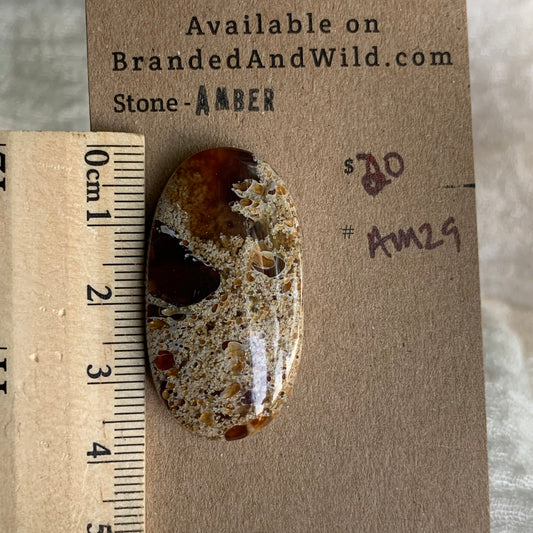 Amber Cabochon AM29