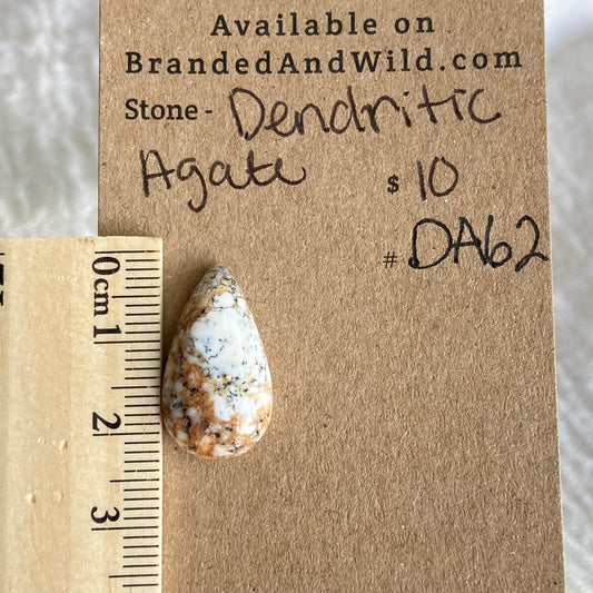 Dendritic Agate Cabochon - DA62