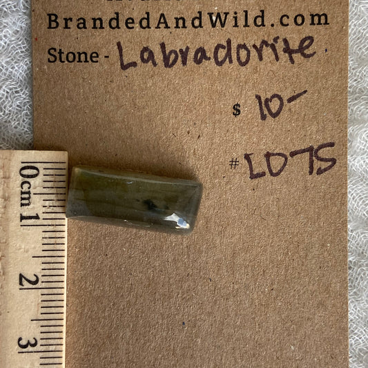 Labradorite Cabochon - L075