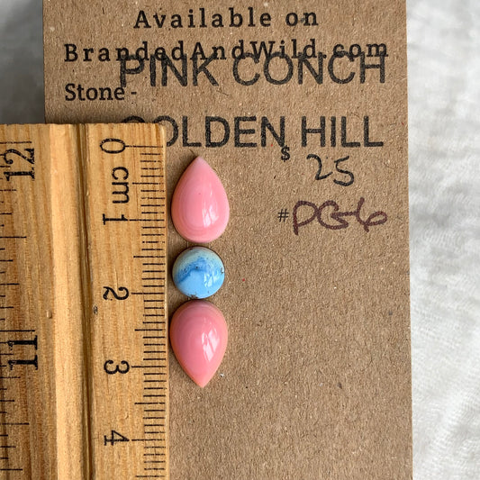 Pink Conch/Golden Hill Cabochon - PG6
