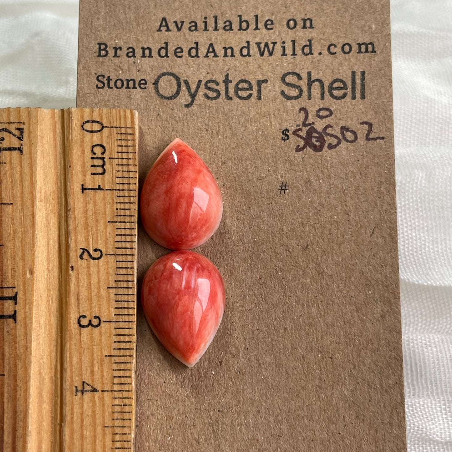 Oyster Shell Cabochon - S0S02 02EE15B3-728E-439F-A2DC-5BF65763BBB0 Brandedandwild.com