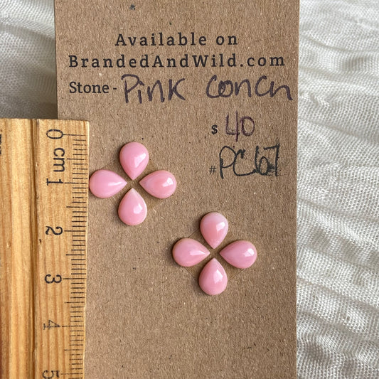 Pink Conch Cabochon - PC67 02F6B4E5-0FF9-4CE7-B2B5-8542A2E49794 Brandedandwild.com