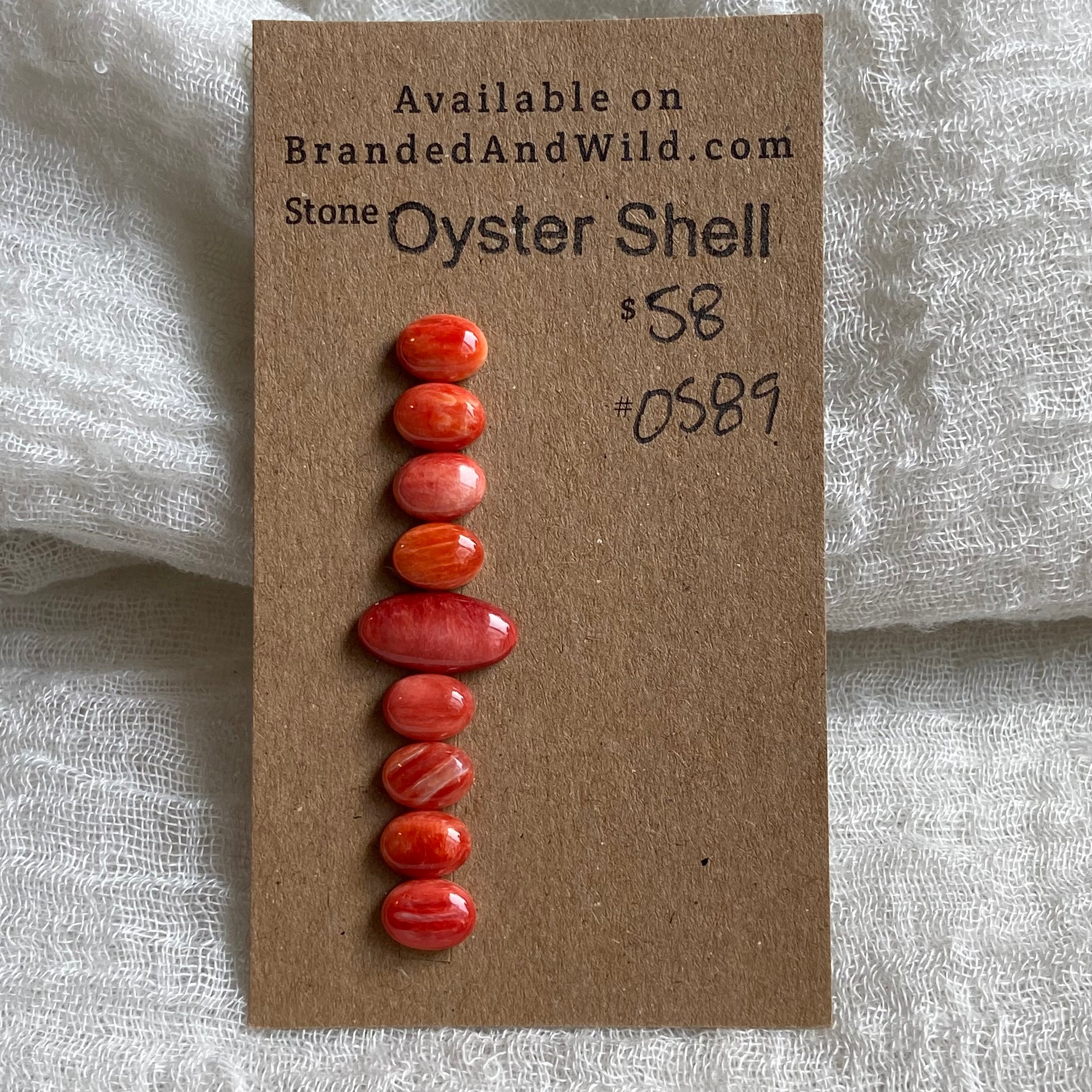 Oyster Shell Cabochon - OS89 030A2FD1-042F-48B3-A489-6E4432948A43 Brandedandwild.com