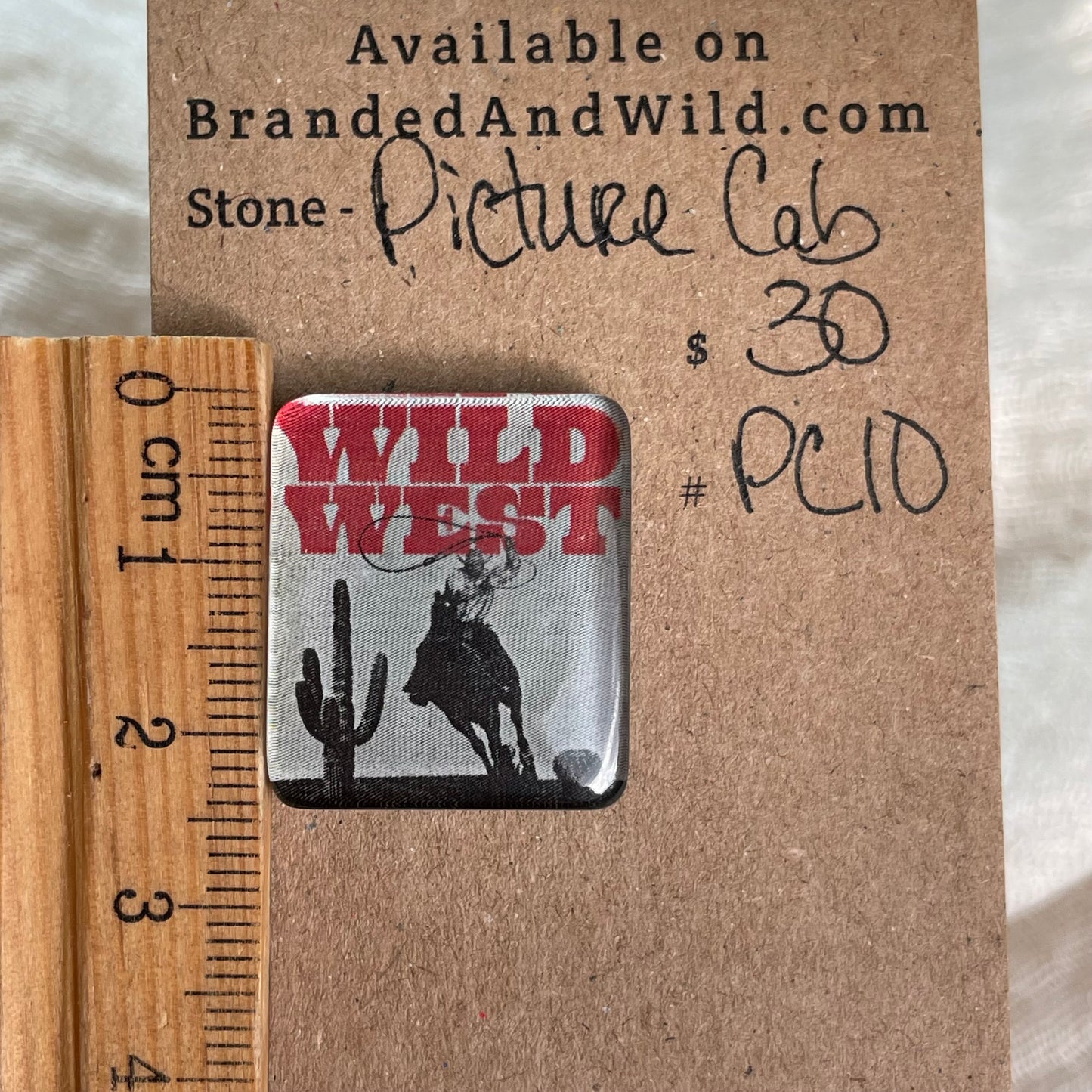 Picture Cabochon - Cabochon - PC10 031D8943-4F92-4075-996D-6D0369913BB8 Brandedandwild.com