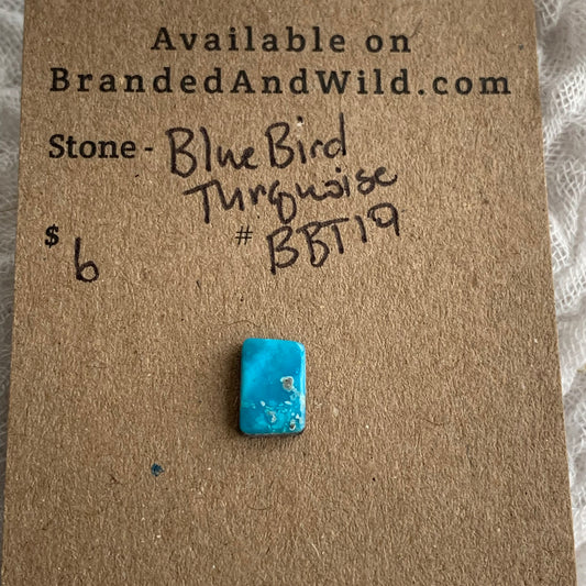 Blue Bird Turquoise Cabochon - BBT19