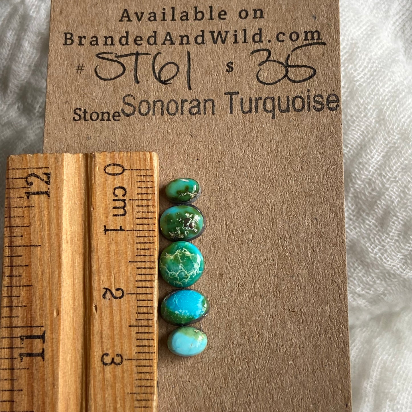Sonoran Turquoise Cabochon - ST61