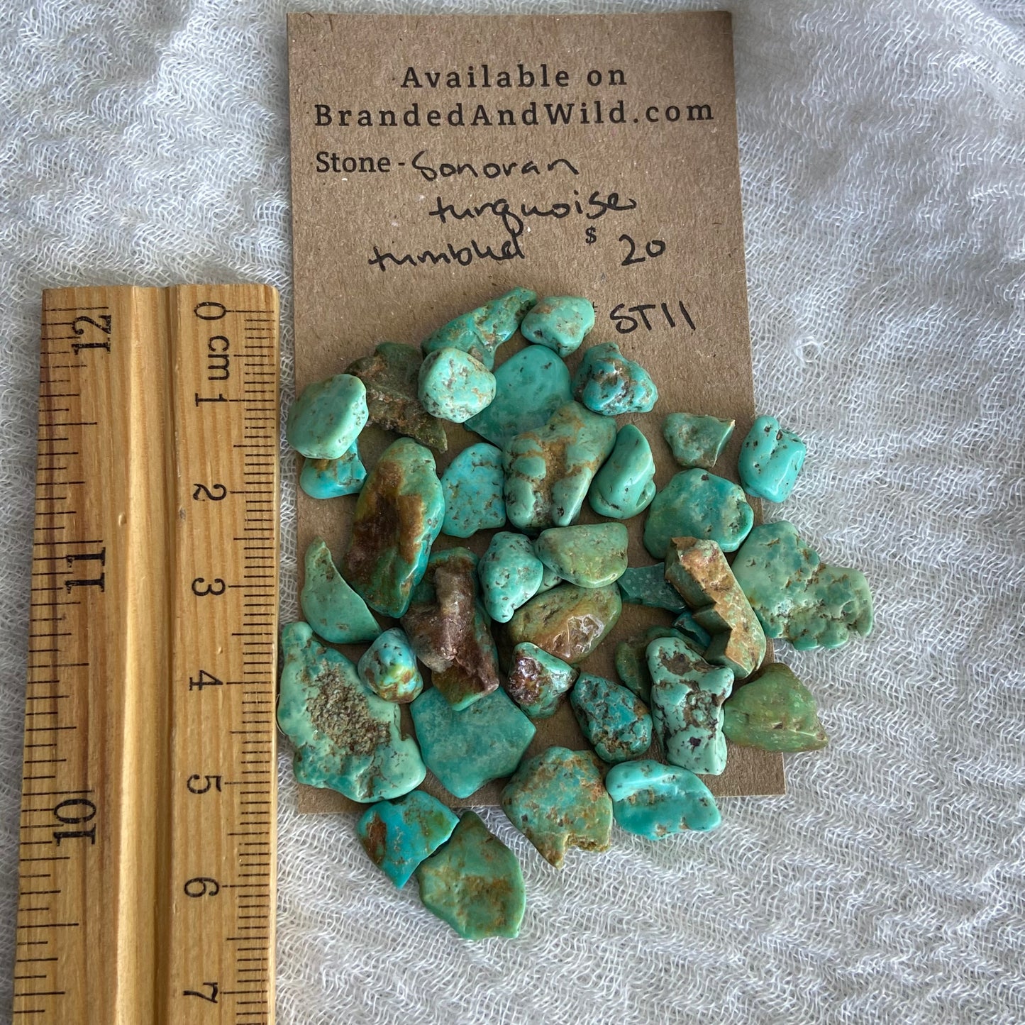 Rough Tumbled Sonoran Gold Turquoise - #ST11