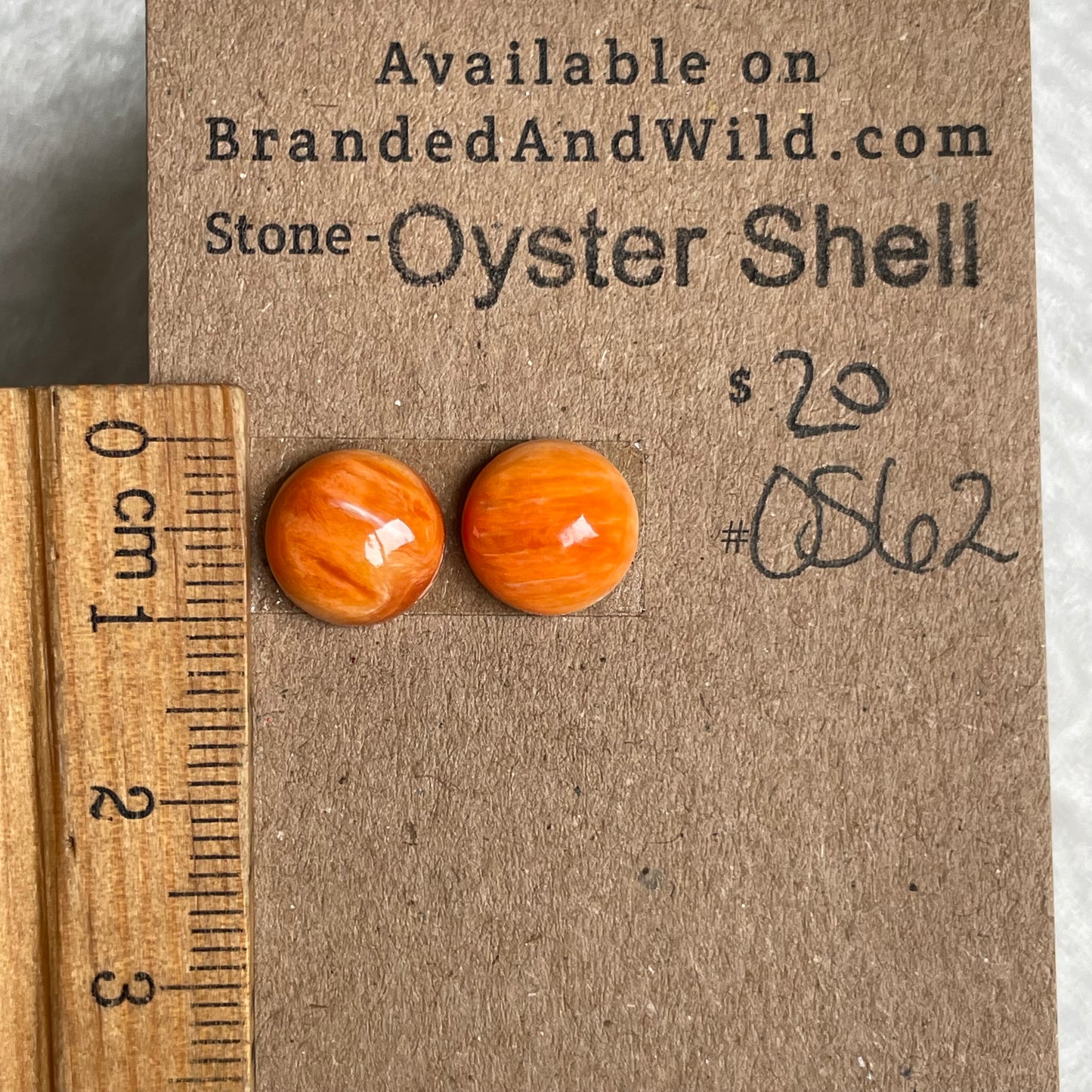 Oyster Shell Cabochon - OS62