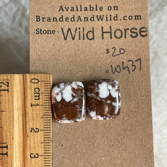 Wild Horse Cabochon - WH37