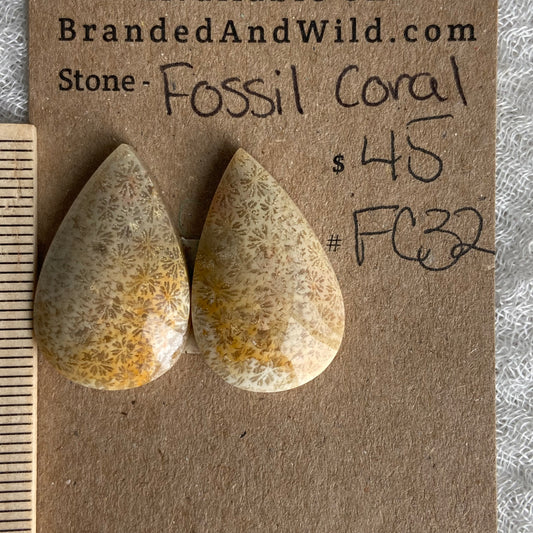 Fossil Coral Cabochon - FC32