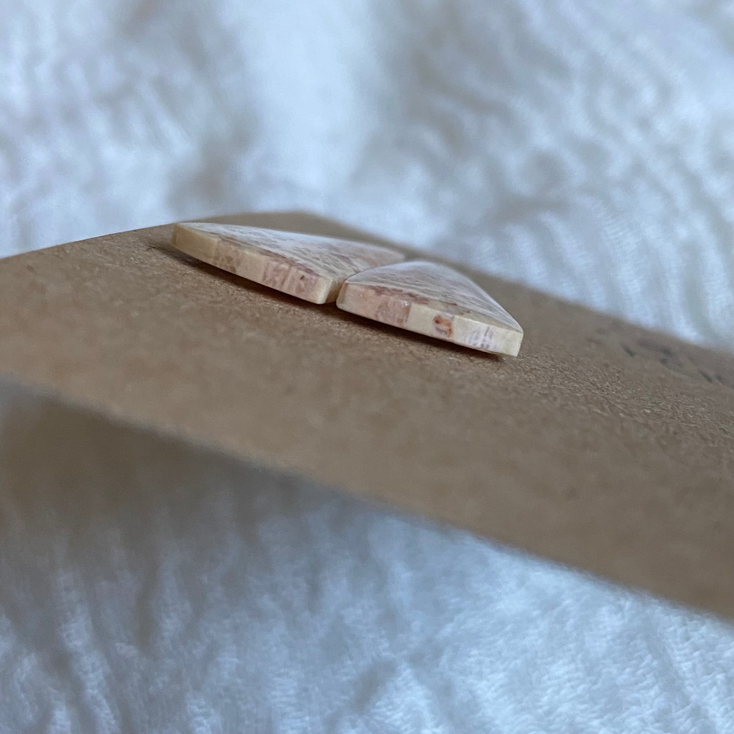Fossil Coral Cabochon - FC108