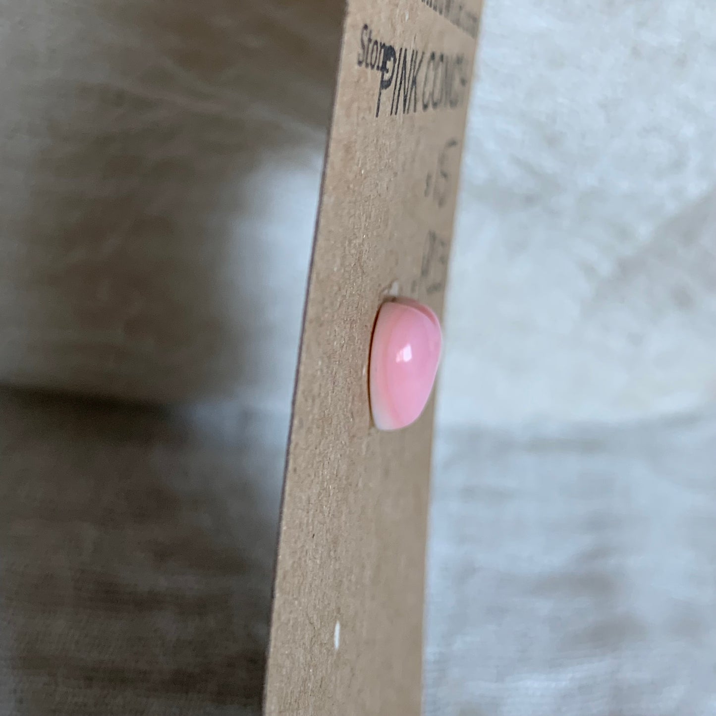 Pink Conch Cabochon - PC13