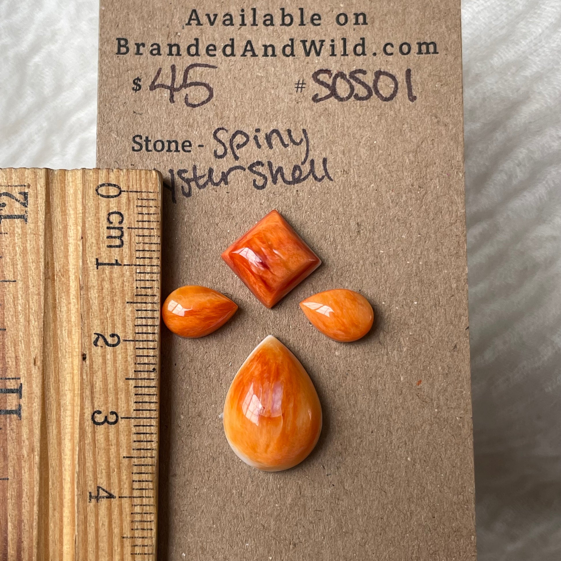 Spiny Oyster Shell Cabochon - SOS01 03D58A65-F14E-4968-8D3F-C7DB8FD70E4B Brandedandwild.com