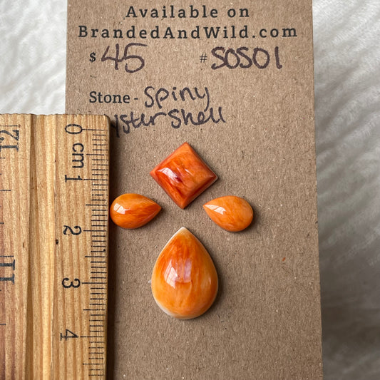 Spiny Oyster Shell Cabochon - SOS01 03D58A65-F14E-4968-8D3F-C7DB8FD70E4B Brandedandwild.com