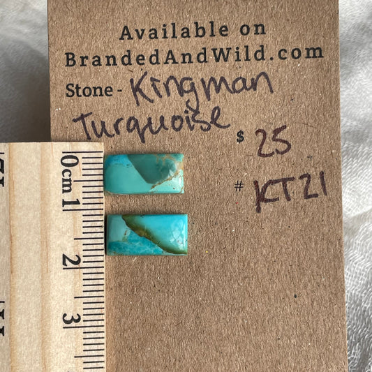 Kingman Turquoise Cabochon - KT21