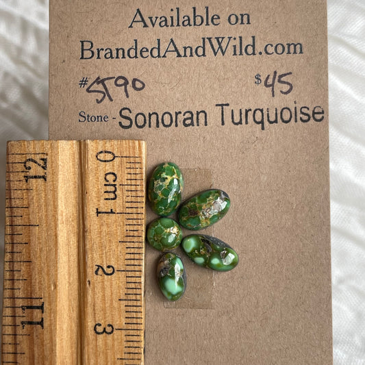Sonoran Turquoise Cabochon - ST90 03EAE248-DFCA-4284-B2B1-9BF0CE3C2A12 Brandedandwild.com