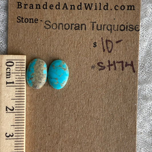 Sonoran Turquoise Cabochon - ST174