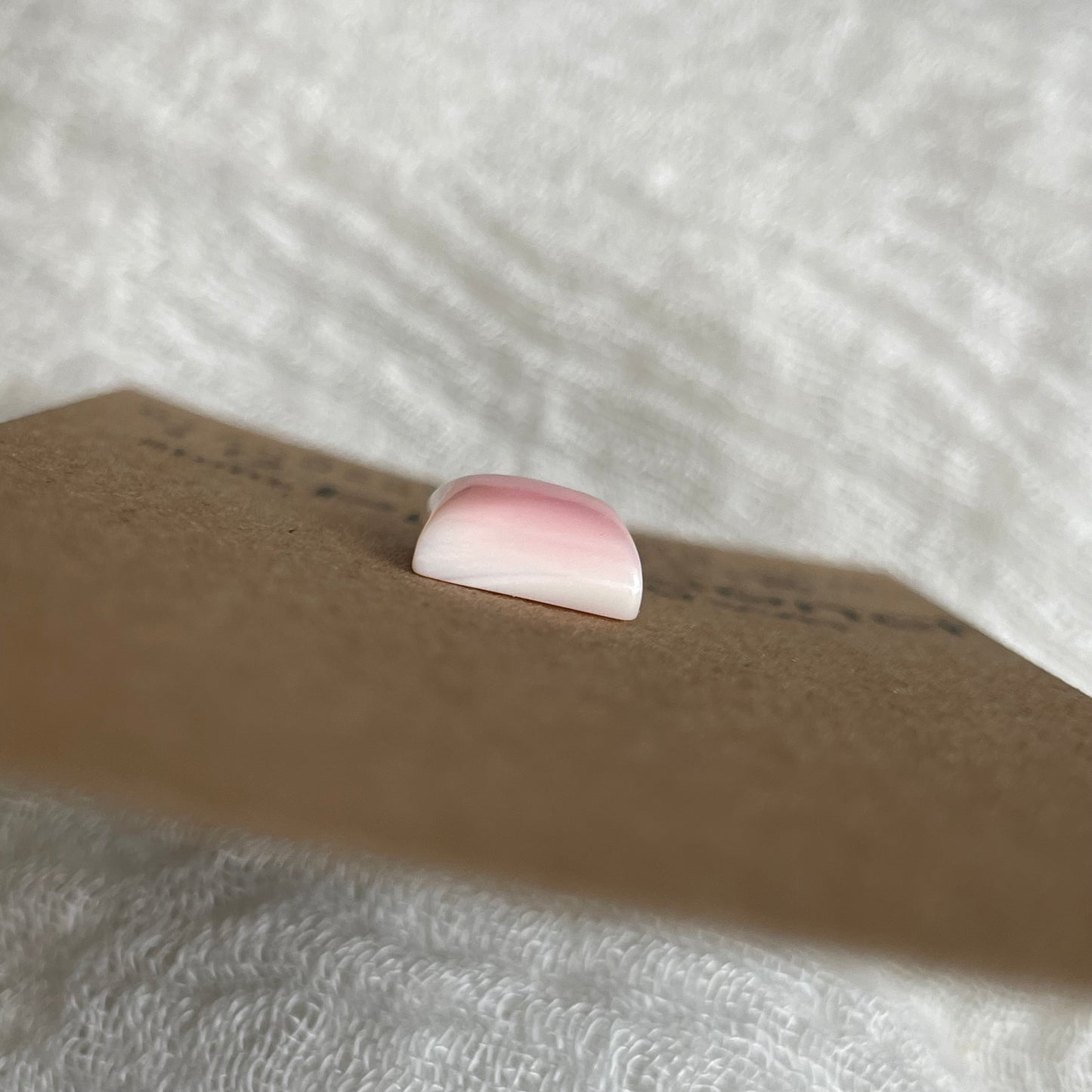 Pink Conch Cabochon - PC18