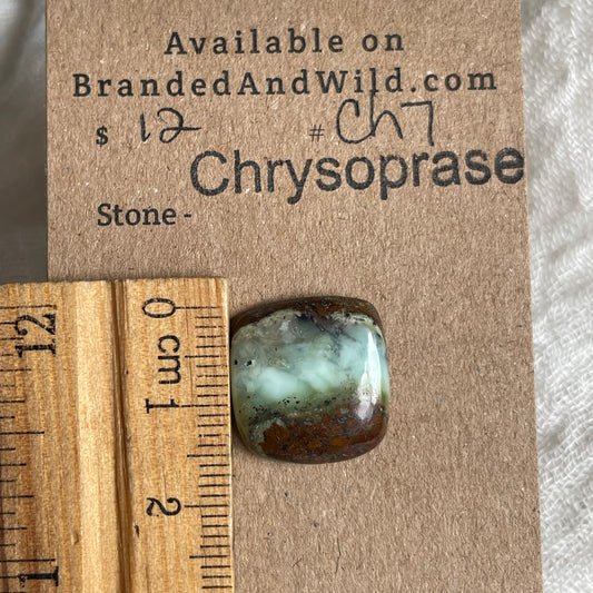 Chrysoprase Cabochon - Ch7 0465C232-85E1-4901-98EE-D4D6C854CB5B Brandedandwild.com