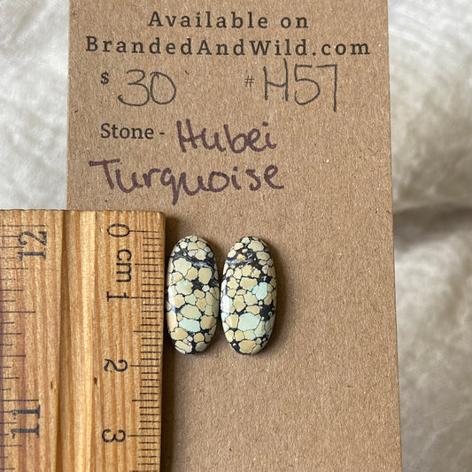 Hubei Turquoise Cabochon - H57 04817D1E-02D4-4C2E-BD25-1B8F08E693BF Brandedandwild.com