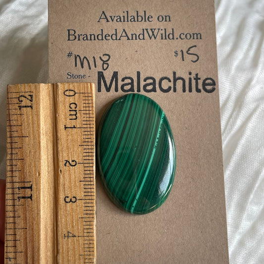Malachite Cabochon - M18 0487C42E-61E9-47DF-95D9-1196EA66E1D4 Brandedandwild.com