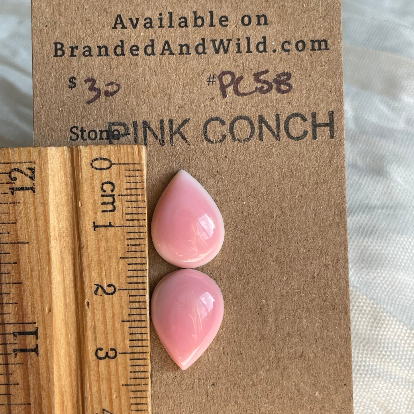 Pink Conch Cabochon - PC58 04BA2A81-43E3-429B-B71D-2EE44AF362E9 Brandedandwild.com