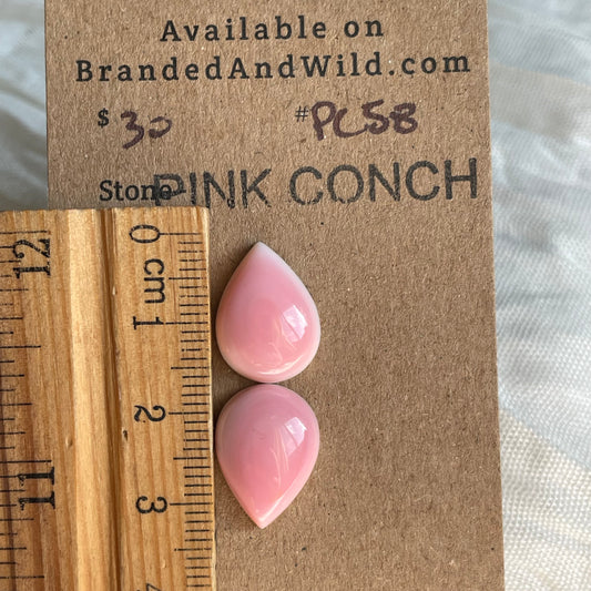 Pink Conch Cabochon - PC58 04BA2A81-43E3-429B-B71D-2EE44AF362E9 Brandedandwild.com