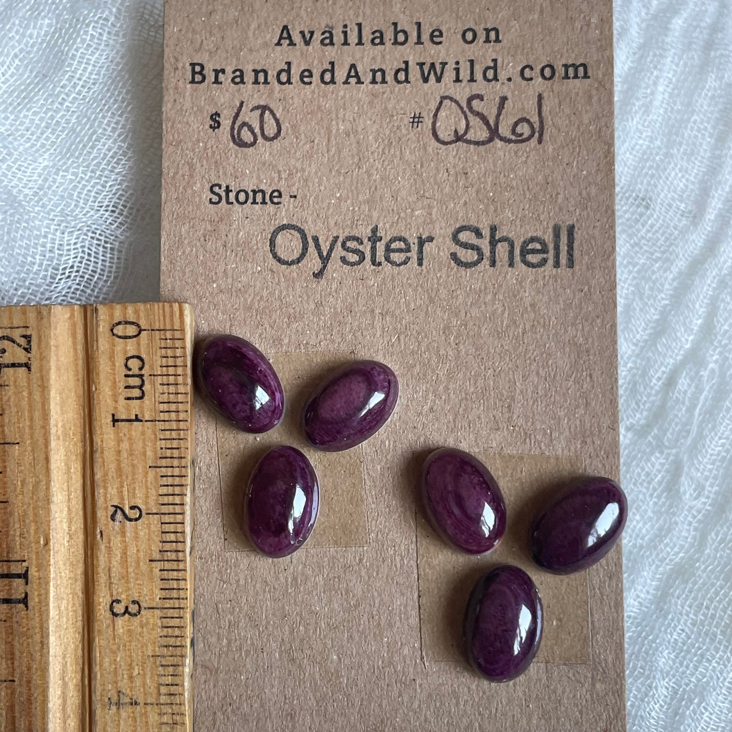 Oyster Shell Cabochon - OS61
