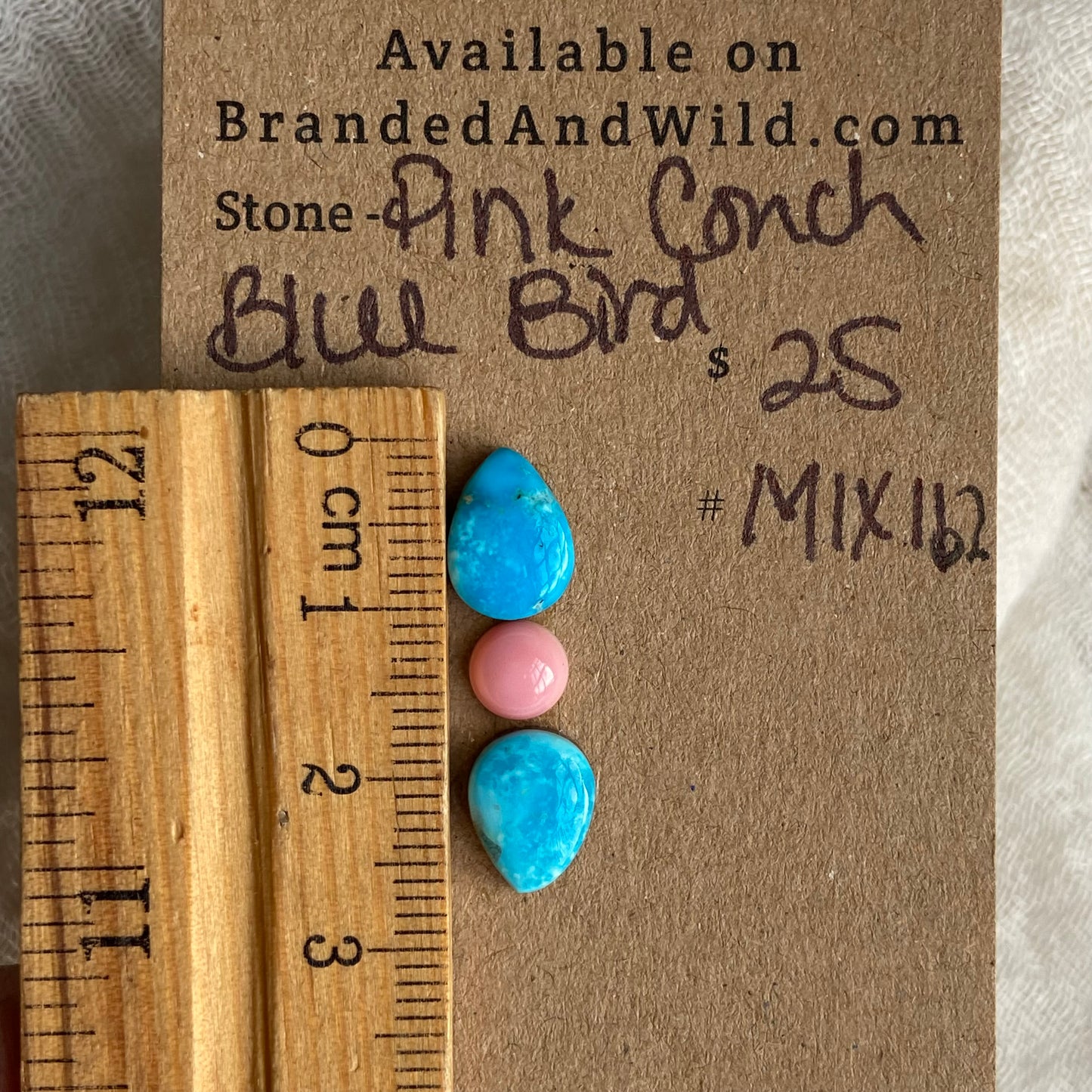 Blue Bird /  Pink Conch Cabochon - MIX162