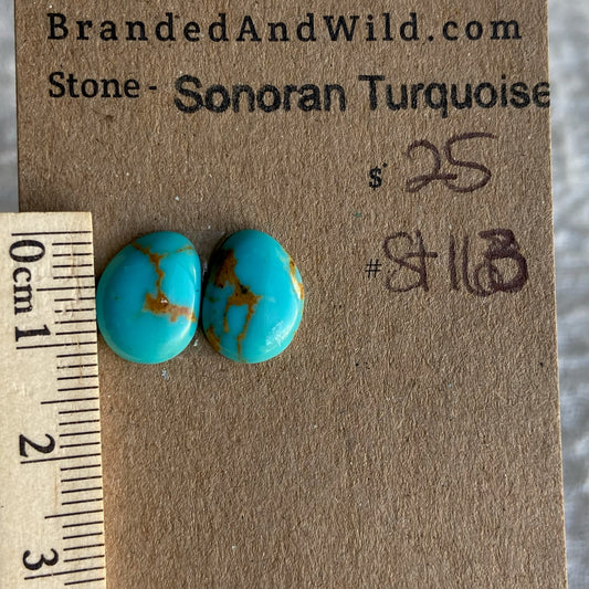 Sonoran Turquoise Cabochon - ST163