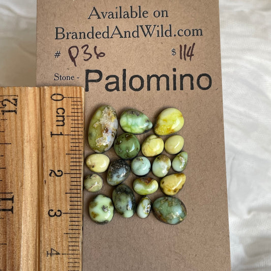 Palomino Cabochon - P36 04F9058E-73E8-4277-89EF-C572B74FE232 Brandedandwild.com