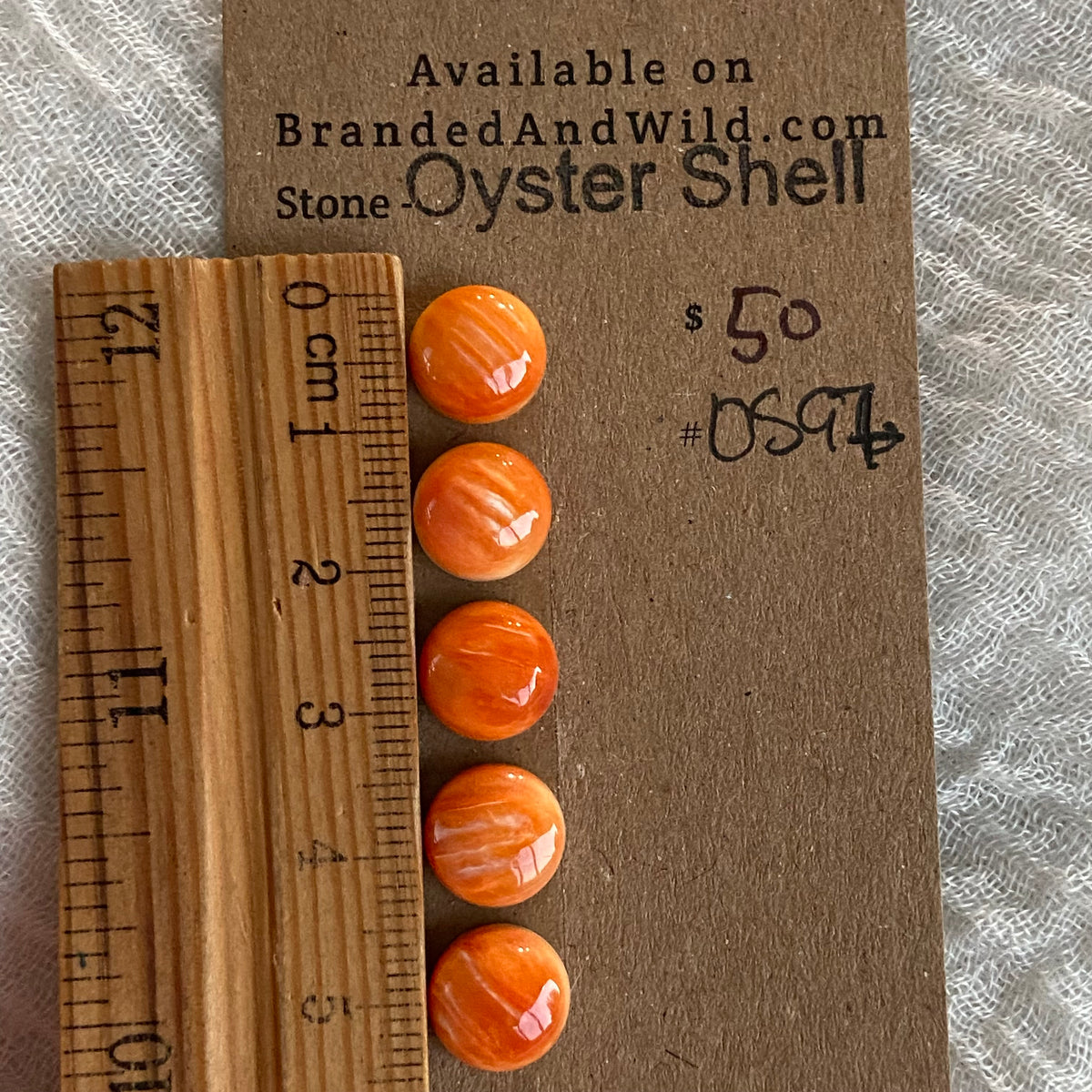 Oyster Shell Cabochon - OS97