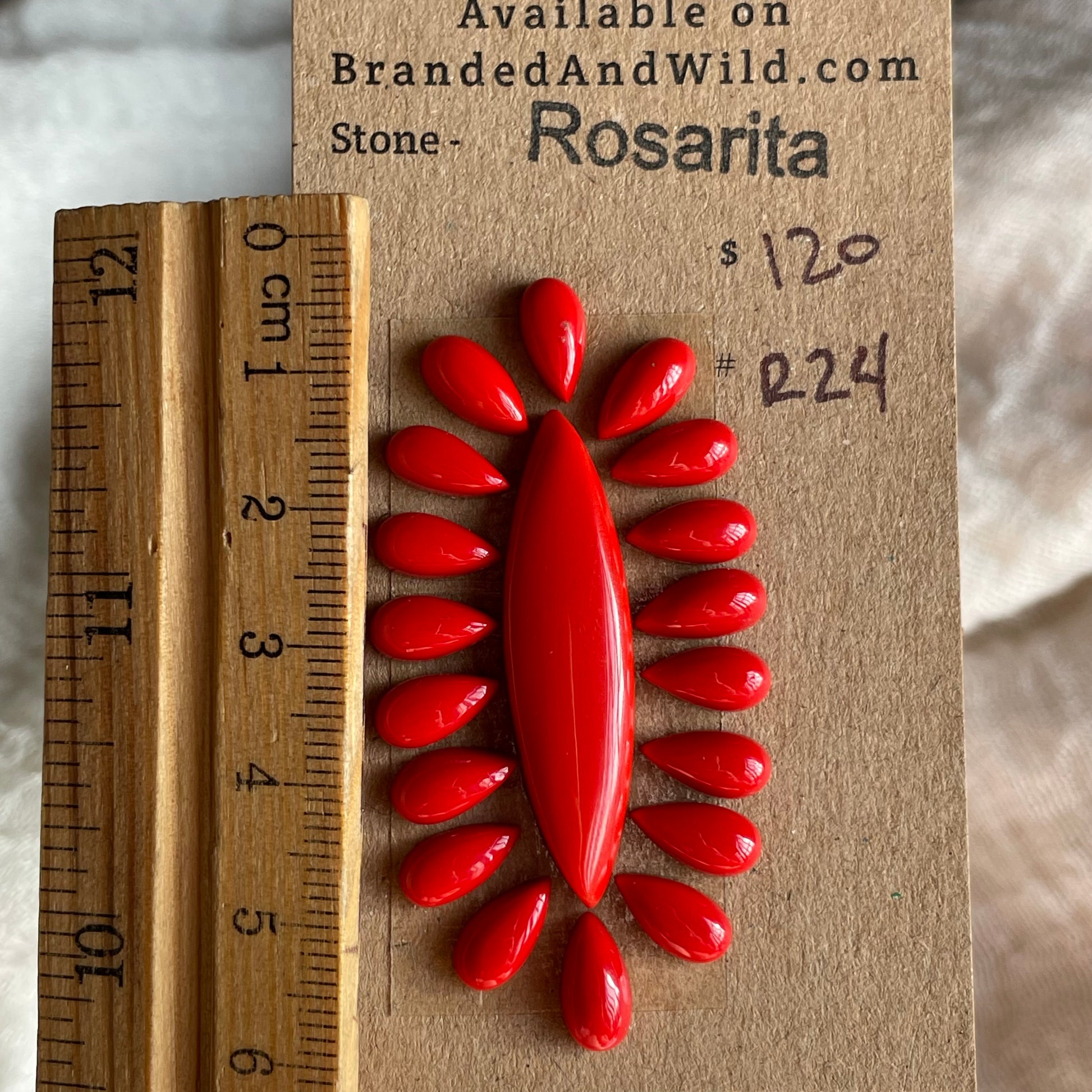 Rosarita - Cabochon - R24 0523AAAE-AC63-4DB2-AD00-BB1A7BAA4B21 Brandedandwild.com