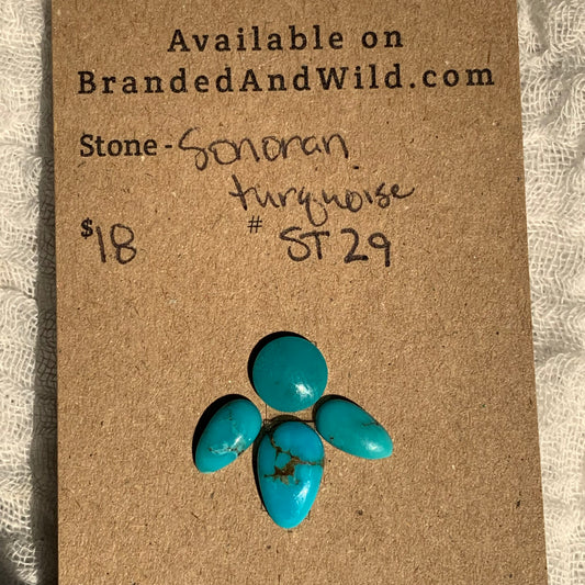 Sonoran Turquoise Cabochon - ST29