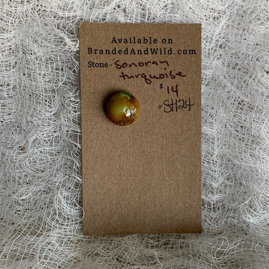 Sonoran Turquoise Cabochon - ST124