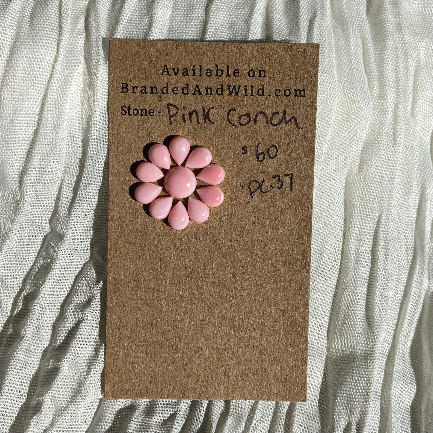 Pink Conch Cabochon - PC37 0583415D-B957-49B3-9998-242330391341 Brandedandwild.com