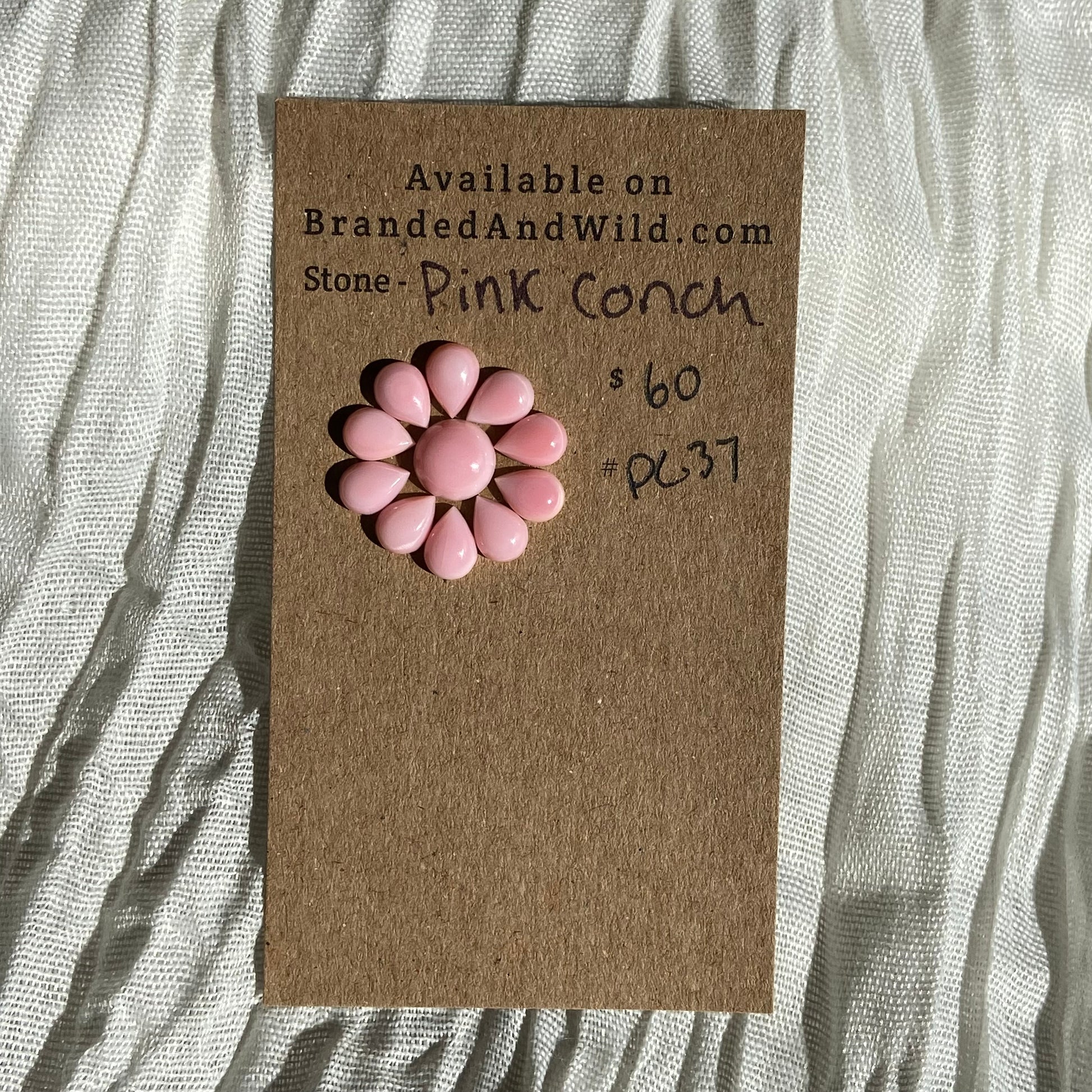 Pink Conch Cabochon - PC37 0583415D-B957-49B3-9998-242330391341 Brandedandwild.com