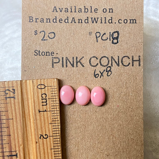 Pink Conch Cabochon - PC18 05856DD9-176C-46B8-BFF3-141F15DCA427 Brandedandwild.com