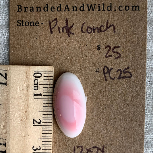 Pink Conch Cabochon - PC25