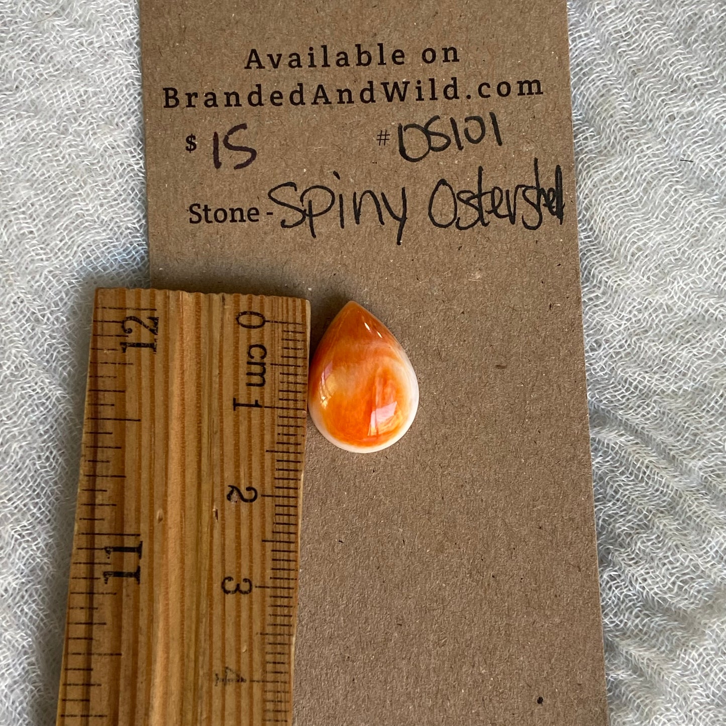 Oyster Shell Cabochon - OS101