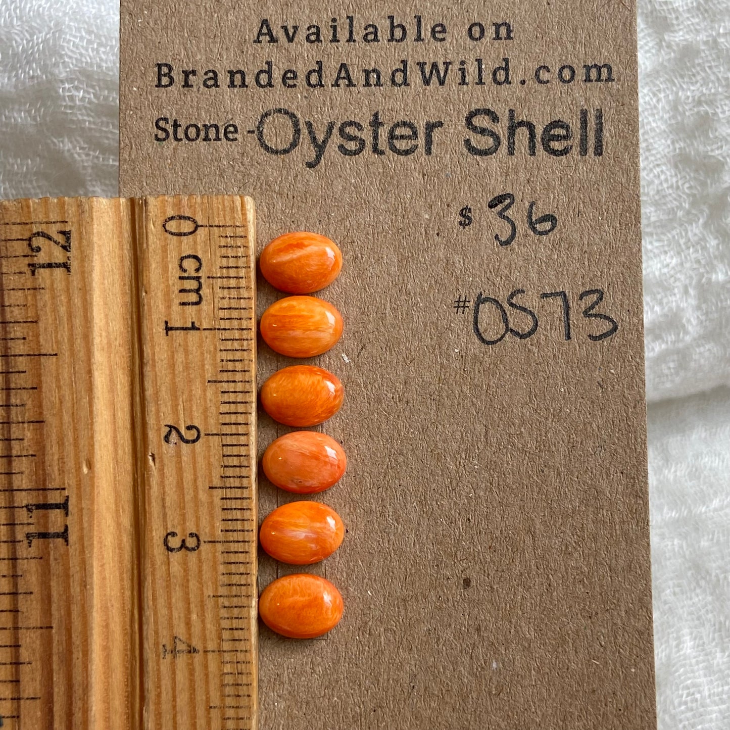 Oystershell Cabochon - OS73 05AC9545-4A75-467C-9A0F-76DE5605E54A Brandedandwild.com