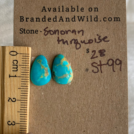 Sonoran Turquoise Cabochon - ST99