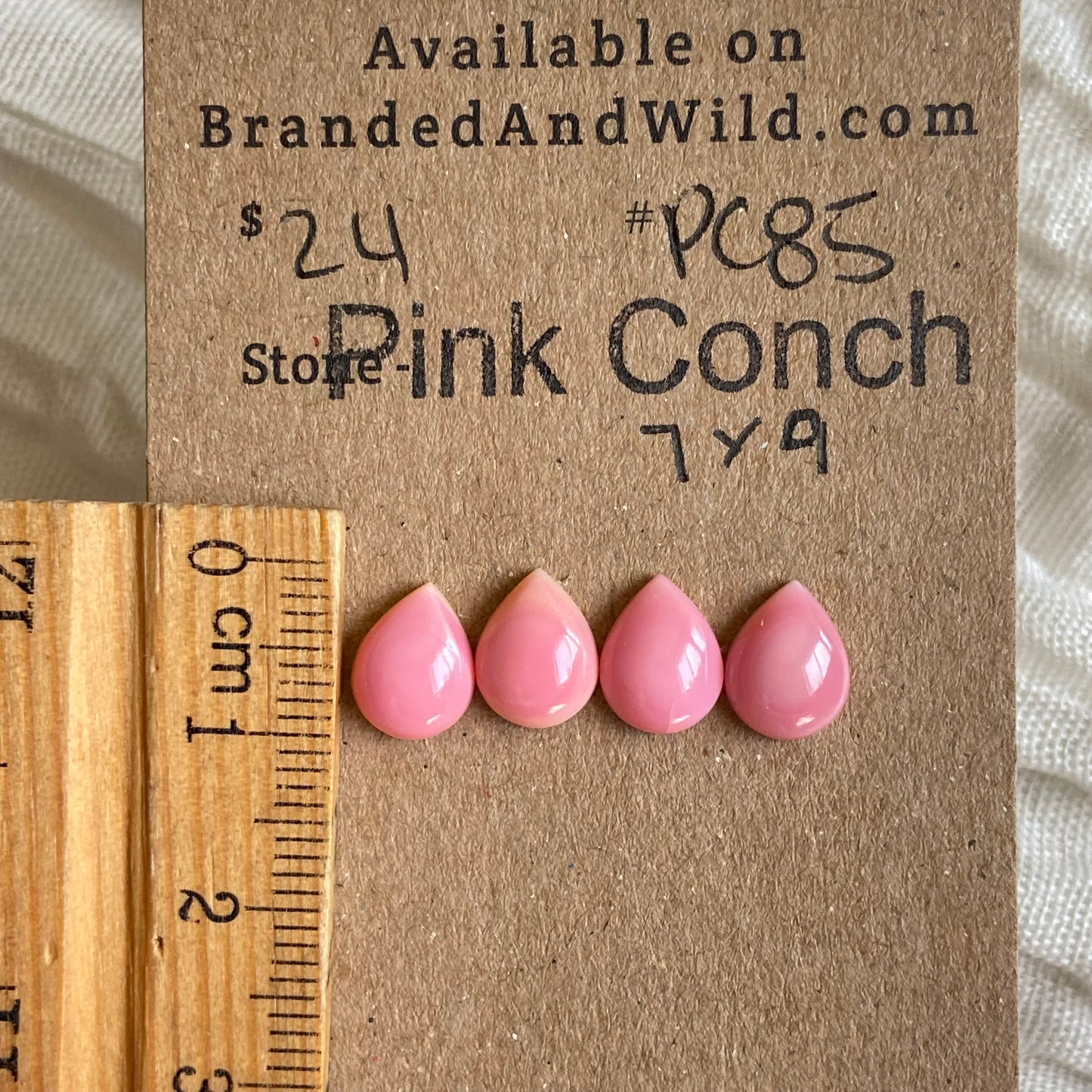 Pink Conch Cabochon - PC85