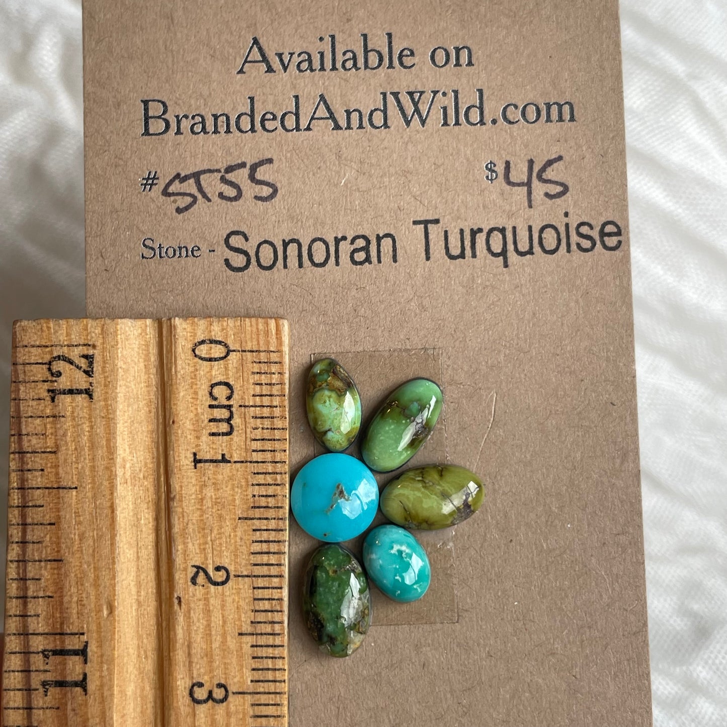 Sonoran Turquoise Cabochon - ST55 063AB90B-D445-4682-92D8-3174381B4C87 Brandedandwild.com