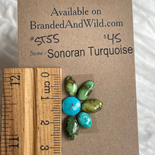 Sonoran Turquoise Cabochon - ST55 063AB90B-D445-4682-92D8-3174381B4C87 Brandedandwild.com