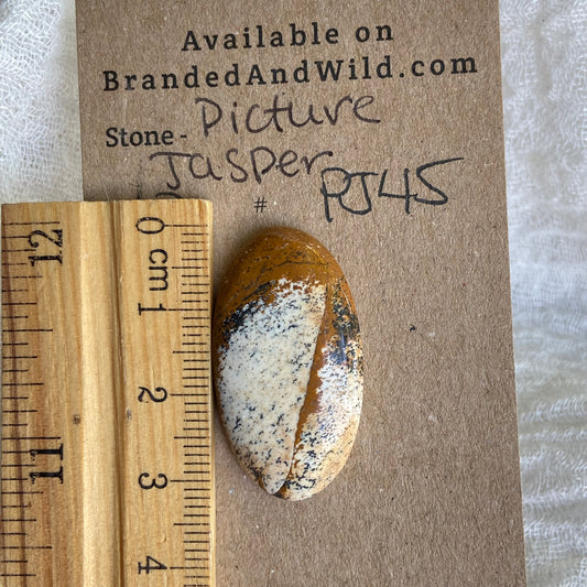 Picture Jasper Cabochon - PJ45