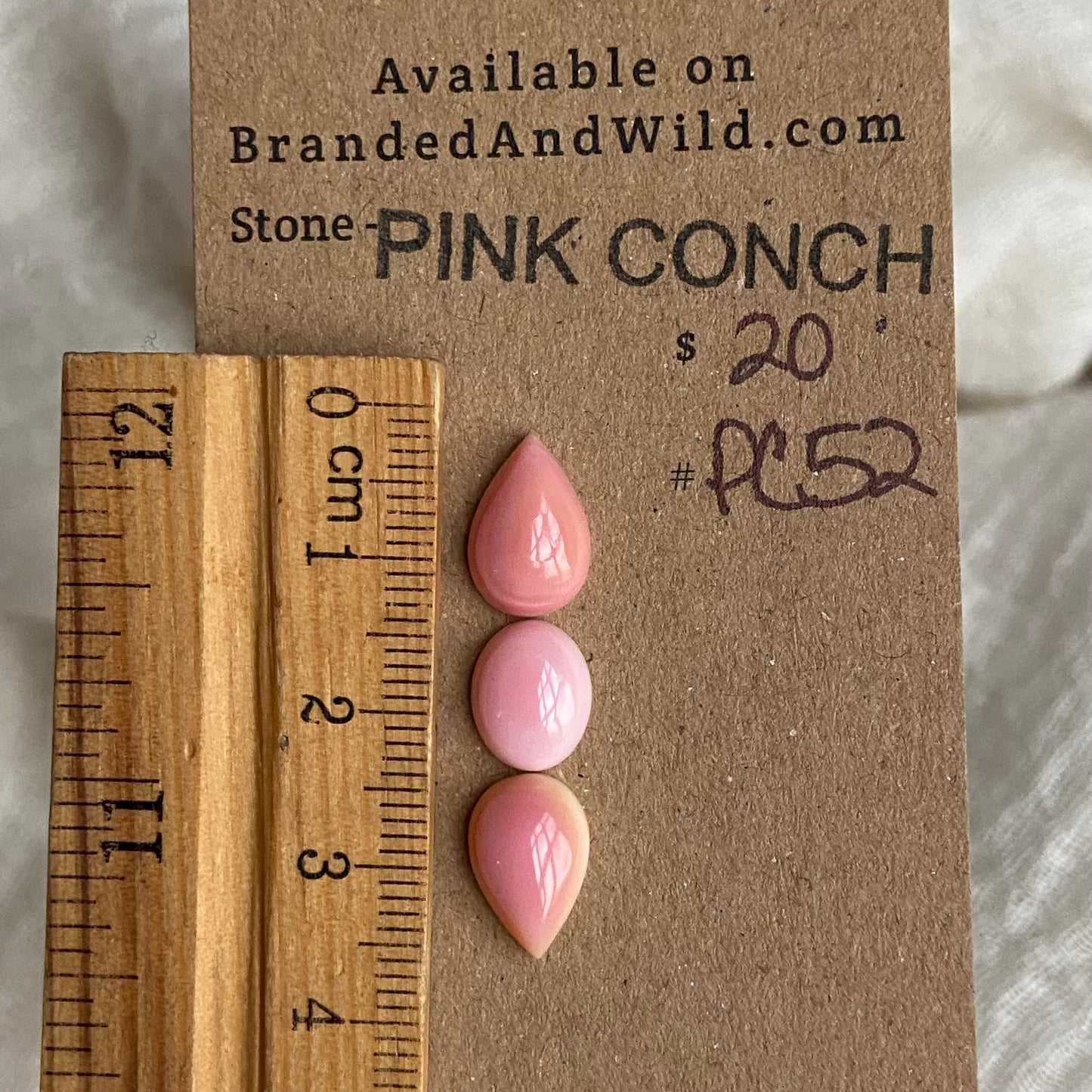 Pink Conch Cabochon - PC52