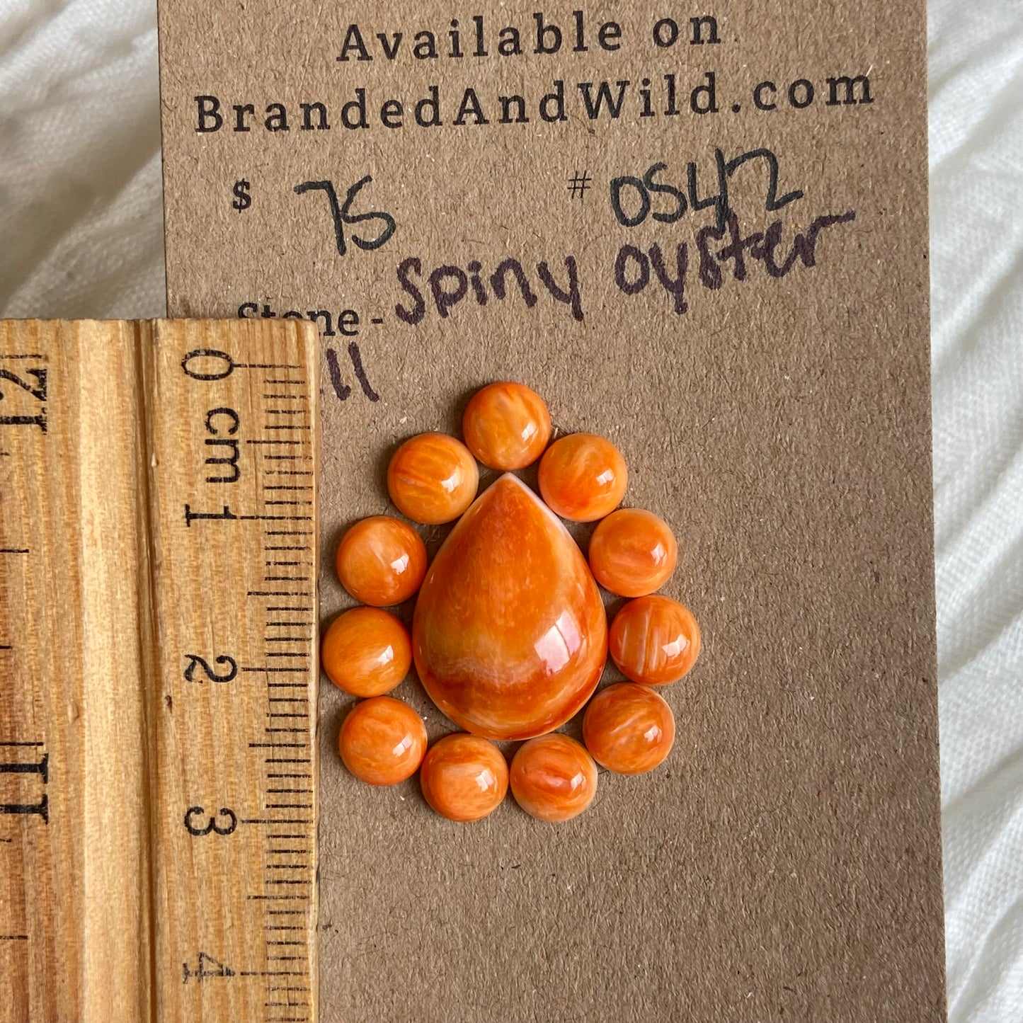 Oystershell Cabochon - OS42 0674E739-D750-4E77-AA3A-E9BC53304B1A Brandedandwild.com